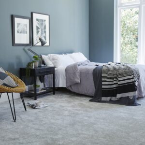Apollo Comfort